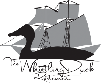 Whistling Duck Logo-650×537 Whistling Duck Logo-650x537
